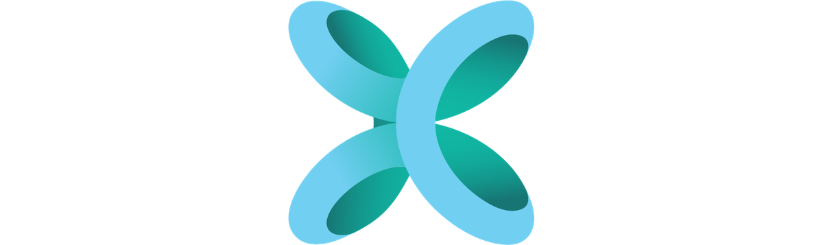 SBTL — Transforms Business